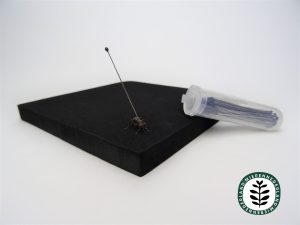 Insectenspelden