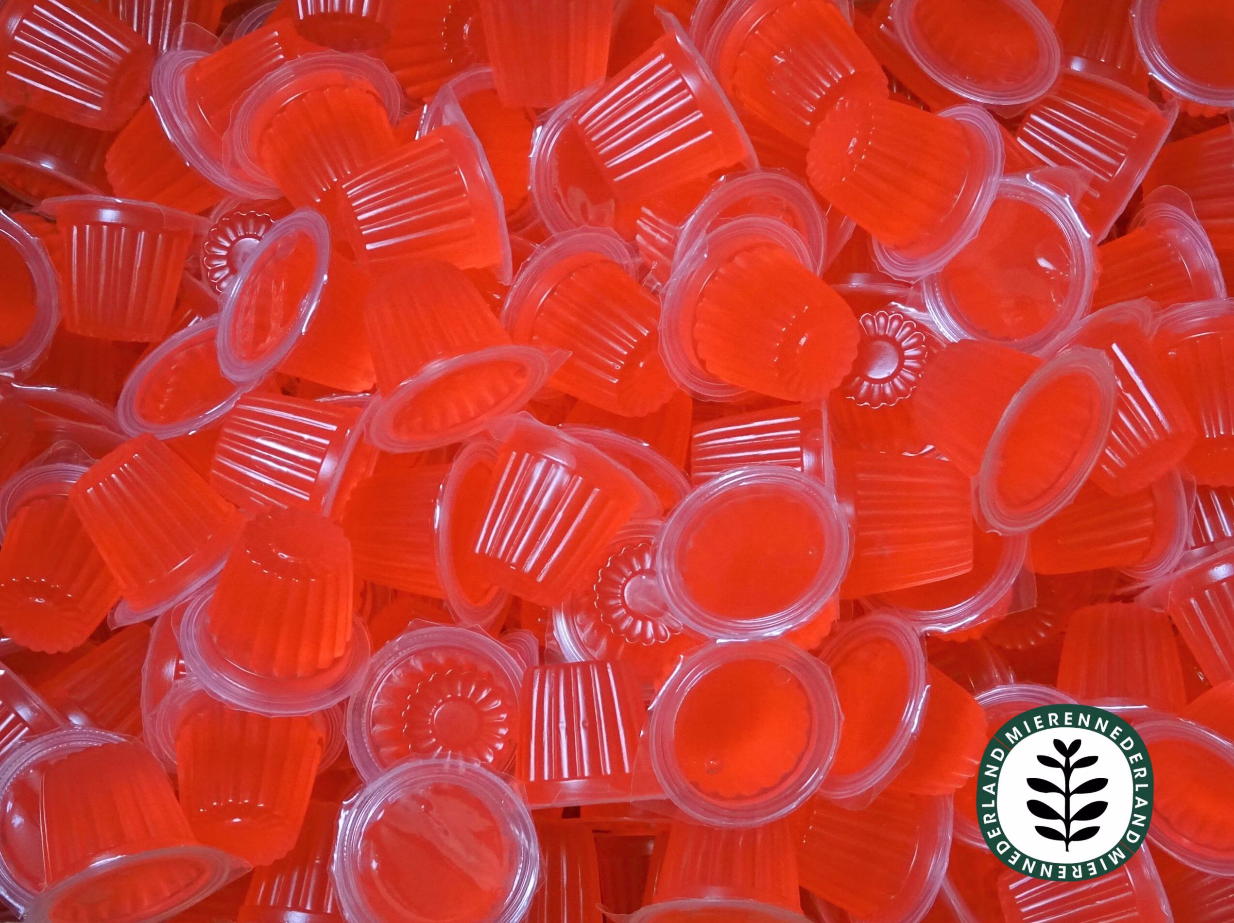 Proteïne jelly | Beetle jelly | Fruitkuipje