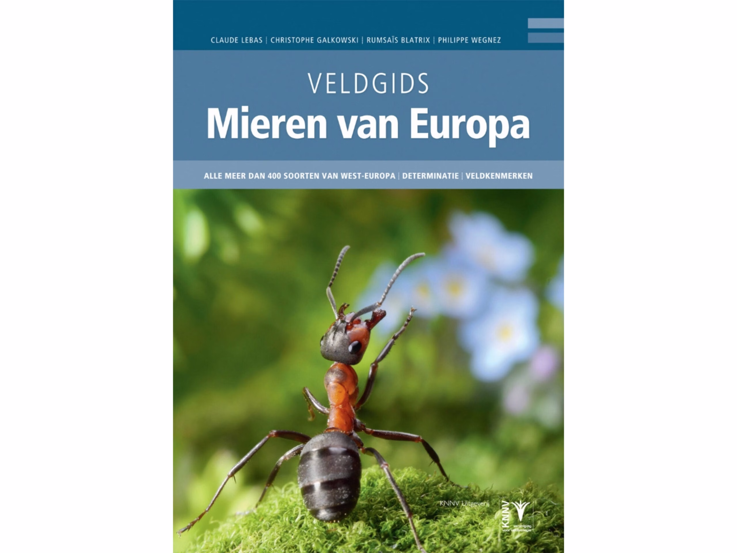 Veldgids Mieren van Europa | Meer dan 400 soorten