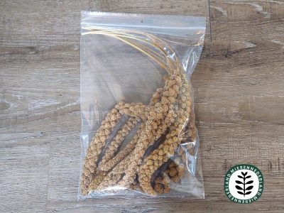 Trosgierst | Messor snack | 8 stuks - Afbeelding 2