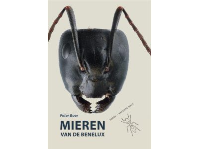 Mieren van de Benelux | Derde - herziende druk
